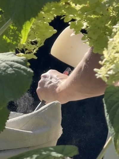 aanbod beeldhouwcoaching 